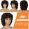 Curly Wigs for Black Women Short Curly Wigs for Women Curly Synthetic Hair Wigs Heat Resistant Hair Replacement Wigs with Wig Caps (Black Mixed Brown)
