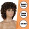 Curly Wigs for Black Women Short Curly Wigs for Women Curly Synthetic Hair Wigs Heat Resistant Hair Replacement Wigs with Wig Caps (Black Mixed Brown)