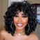 Short Curly Wig for Black Women, 14 Inches, Synthetic Hair, Lightweight, Easy to Style, Natural Looking