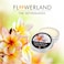 Flowerland Solid Perfume - Portable Pocket Balm Perfume Perfect for Travel Use - Natural Fragrance Parfum for Men and Women - Natural &amp; Vegan - Frangipani (30ml)
