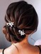 Unsutuo Bride Wedding Hair Pins Silver Crystal Bridal Hair Accessories Pearl Flower Hair Pieces for Women and Girls(Pack of 2) (Silver)