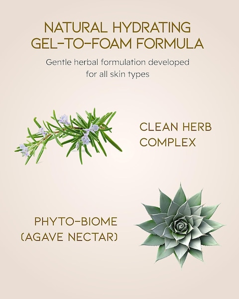 BEYOND Phytoganic Facial Cleansing Foam (6.8fl oz) - Vegan Formula Korean Skin Care. Moisturizing Gel-Type Facial Foam for Impurities &amp; Makeup Removal, lean Herbs, Phyto-Biome