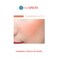 [The SAEM] Saemmul Single Blusher 5g (Pumpkin Latte)