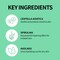 Cica Green Cleanser 4.23 fl.oz l Vegan Facial Cleanser l Cica, Spirulina, Avocado, Allantoin l Gentle Facial Wash, Korean SkinCare120ml