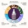 50% Beta Glucan Serum   Anti-Aging, Hydrating &amp; Plumping for Dry Skin, Fine Lines, Wrinkles, Dark Spots   Niacinamide, Centella, Hyaluronic Acid   Korean Skincare   Lightweight, Non-Greasy