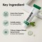 MEDI-PEEL] Cica Antio Cream 1.01fl.oz. / 30ml   Sport Cream for Skin Breakouts and Concentrated Moisturizing, Anti-Wrinkle, Anti-Oxidant   Korean Skincare, For All Skin Types