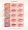 Heart Percent Dote On Mood Lip Pencil Slim, Defines and Fills Creamy Lip Liner Retractable Lipstick Pencil with Built-In Sharpener, #03. Oat Beige
