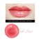 EFFORTLESS Glow Lip Oil 001 RED ROSE: Hydrating, Nourishing, Plumping, Lip Stain, Moisturizing, Firming, Long Lasting   Non-Sticky Lip Gloss, Sheer, Lip Camellia Oil - 0.17oz