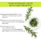 Rosemary Water Spray for Hair Growth   Strengthen, Revitalize &amp; Thicken Hair   Damage Repair &amp; Hair Loss Control   Adds Shine &amp; Reduces Frizz   6.76 Fl Oz/200ml