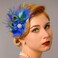 Yokawe 1920s Feather Hair Clip Flapper Blue Peacock Hair Clips Gatsby Hair Accessories for Women