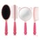 4 Pieces Hair Brush Hair Comb Set For Women Girls Gift Cute shaped Hair Comb Hair Brush Handheld Mirror Set Travel Detangling Comb Massage HairBrush with Air Cushion For Wet Dry Hair (Pink)
