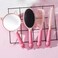 4 Pieces Hair Brush Hair Comb Set For Women Girls Gift Cute shaped Hair Comb Hair Brush Handheld Mirror Set Travel Detangling Comb Massage HairBrush with Air Cushion For Wet Dry Hair (Pink)