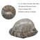 All Poly Toupee for Men Hairpieces Human Hair Replacement System 0.1mm PU Injected Mens Toupee Human Hair Natural Toupee Hair for Men 8X10",#350 Dark Brown with 50% Gray