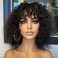 Lace Front Wigs Black Short Curly Bob with Bangs Glueless Natural hairline Pre Plucked Synthetic Hair Heat Resistant Fiber Wig For Black Women 14inches