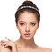 Hoteam 6 Pcs Headband with Teeth for Women, non Slip Beaded Hair Band for Women and Girls Crystal Headbands Hair Accessories(Chic Flower Style)