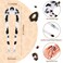 WILLBOND 10 Pcs U Shaped French Hairpin Chignon Fork Sticks Celluloid Acetate Tortoise Shell Hair Pin Updo for Women