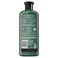 Herbal Essences Bio: Renew Mango + Potent Aloe Sulfate Free Shampoo for Curly Hair 13.5 Fl oz