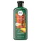 Herbal Essences Bio: Renew Mango + Potent Aloe Sulfate Free Shampoo for Curly Hair 13.5 Fl oz