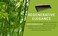 OREN&rsquo;S BAMBOO Wide Tooth Comb for Curls, Curly Hair, and Thick Hair   Hair Comb for Men and Women   Durable Bakelite Infused   Detangling Tool for Natural Hair Care