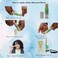 Aloha Minerals Block Brush-On Mineral Powder Sunscreen For Face, SPF 50, Water Resistant, Broad Spectrum, Natural Mineral Blend, Oil Abrosbent, Tropical Scent, Carrot Seed Extract, 0.21oz