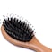 Boar Bristle Hair Brush for Men/Women - Mini Natural Beech Wood Professional Detangler Hairbrush for Pocket/Purse/Travel, Giftbox Included