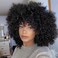 Black Curly Afro Wig for Women, Kinky Wigs for Black Women, Synthetic Natural Synthetic Curly Wig with Bangs