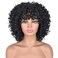 Black Curly Afro Wig for Women, Kinky Wigs for Black Women, Synthetic Natural Synthetic Curly Wig with Bangs
