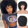 Black Curly Afro Wig for Women, Kinky Wigs for Black Women, Synthetic Natural Synthetic Curly Wig with Bangs