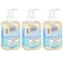 Michel Design Works Foaming Hand Soap, 17.8 Ounce, Beach - 3-PACK