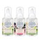 Michel Design Works Mini Foaming Soap 3-Pack Set (2 Rosemary Margarita, 1 Cedar Rose)