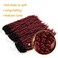 Passion Twist Crochet Hair 18inch 6packs Pre-Twisted Synthetic Long Curls 12 Roots Braiding Hair Extensions For Women (18 inch, ombre Bug)