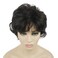 Lydell Women's Short Wavy Curly Wig Synthetic Hair Full Wig 6 inches (Dark Brown)