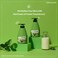 WELCOS KWAILNARA Green Tea Milk Body Lotion &amp; Body Wash Set &ndash; Soothing &amp; Refreshing Korean Skincare Set with Green Tea Extract, 560 g / 19.75 oz Each