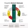 Self Absorbed Facial Moisturizer for Dry Skin   Daily Facial Moisturizing Lotion   SuperHydrate &amp; Fast-Absorbing Moisturizer