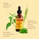 ORS HAIRestore Fertilizing Serum with Nettle Leaf and Horsetail Extract 2 Ounces (Pack of 3)