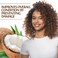 Biosilk Silk Therapy with Natural Coconut Oil Moisturizing Conditioner, Nourishing &amp; Helps Eliminate Frizz, Sulfate, Paraben &amp; Cruelty-Free, 2.26 Oz