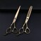 Purple Dragon 6.0 inch Left Hand Barber Hair Cutting Scissor and Thinning Shears - for Professional Left-handed Hairstlist