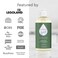 Puracy Organic Hand Soap, For the Professional Hand Washers We've All Become, Moisturizing Natural Gel Hand Wash Soap, Liquid Hand Soap Refills for Soft Skin 12 fl.oz, Cucumber &amp; Mint