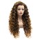 Hair Curly Long 26inch Brown Root Honey Blonde Ombre Half Hand Tied Synthetic Lace Front Wigs