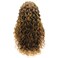 Hair Curly Long 26inch Brown Root Honey Blonde Ombre Half Hand Tied Synthetic Lace Front Wigs