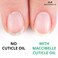 Maccibelle Cuticle Oil Pomegranate and Fig 0.5 oz Heals Dry Cracked Cuticles