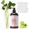 Organic Hair Growth Set Shampoo 17 oz + Conditioner 16 oz + Hair Loss Treatment 4 oz Ayurvedic Herbs, Lavender, Ginger, Rosemary NO GMO, Sulfates, Gluten, Alcohol, Parabens, Phthalates