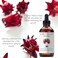 Organic Hair Growth Set Shampoo 17 oz + Conditioner 16 oz + Hair Loss Treatment 4 oz Ayurvedic Herbs, Lavender, Ginger, Rosemary NO GMO, Sulfates, Gluten, Alcohol, Parabens, Phthalates
