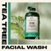 The Body Shop Tea Tree Skin Clearing Facial Wash &ndash; Purifying Vegan Face Wash For Oily, Blemished Skin &ndash; 8.4 oz