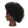 Real 100% Human Hair Kinky Curly Mannequin Head with Table Clamp Stand for Hairdresser Practice Braiding Styling Manikin Cosmetology Doll Training Head Bleaching Dyeing Curling Updos