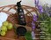 Botanical Conditioner - Red Onion, Black Seed, Argan, Coconut, Neem, Hemp, Amla &amp; Aloe Vera   Deep Conditioning for Dry, Thin &amp; Damaged Hair   200 ML - 6.76 fl oz