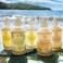 Island Soap &amp; Candle Works Botanical Liquid Hand Soap - Vegan Hand Soap for Men and Women - Luxury Skincare for Bathroom - Hawaiian Gifts for Sensitive Skin - Creamy Coconut - 8.5 Ounce Bottle