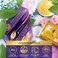 SWISS&Ouml;KOLAB Under Eye Patches For Puffy Eyes 24k Gold Eye Mask Dark Circles And Puffiness Collagen Eye Gel Pads Moisturizing &amp; Reducing Wrinkles Anti-Aging Hyaluronic Acid (Revitalising)