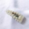 2PCS Women Fashion Sweet Imitation Pearl Hair Clip Hairpin Hair Accessories Simple Alloy BB Hairgrip (A# - Silver)
