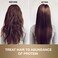 MOEHAIR Protein Infused Shampoo   Anti-Frizz, Moisturizing &amp; Strengthening Shampoo for All Hair Types   With Proteins, Natural Oils &amp; Vitamin E &amp; B5   Sulfate &amp; Paraben-Free Hair Shampoo, 32 Fl Oz